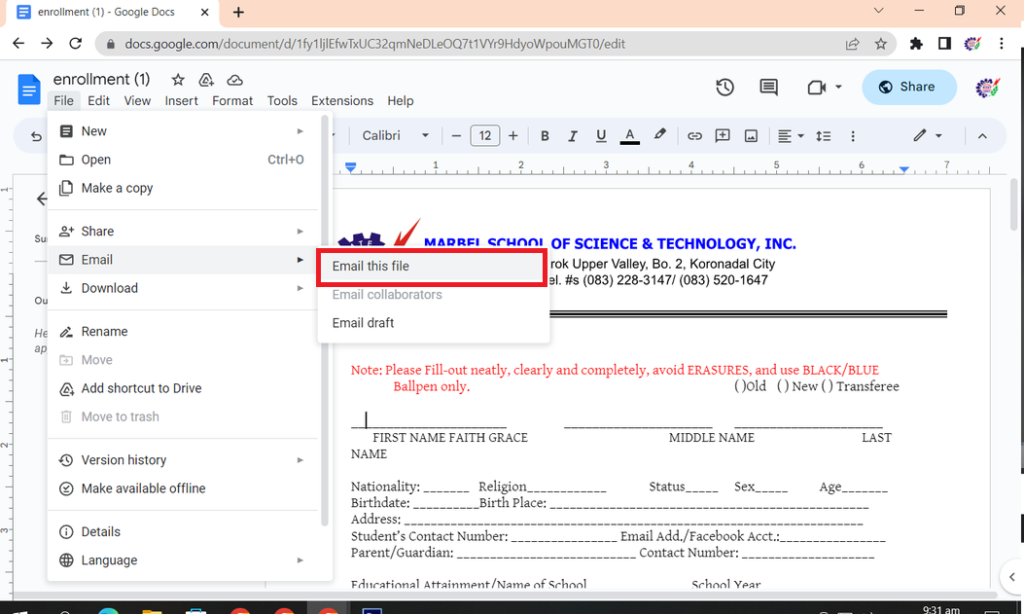 5TH CLICK EMAIL THIS FILE